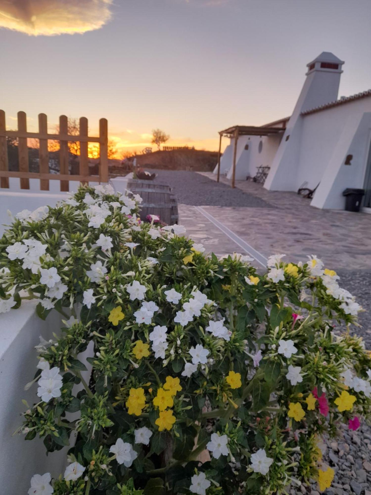 Amendoa Farm stay Alta Mora