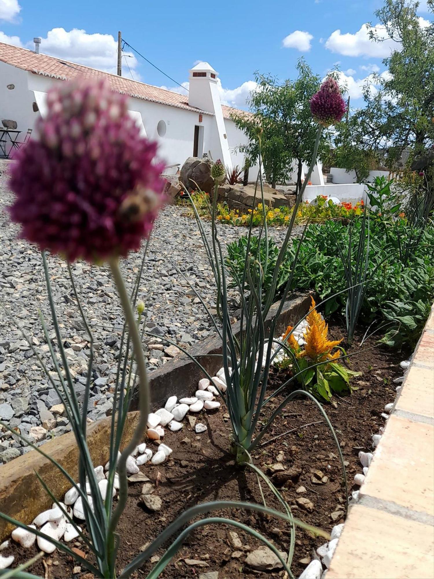 Farm stay Amendoa Alta Mora