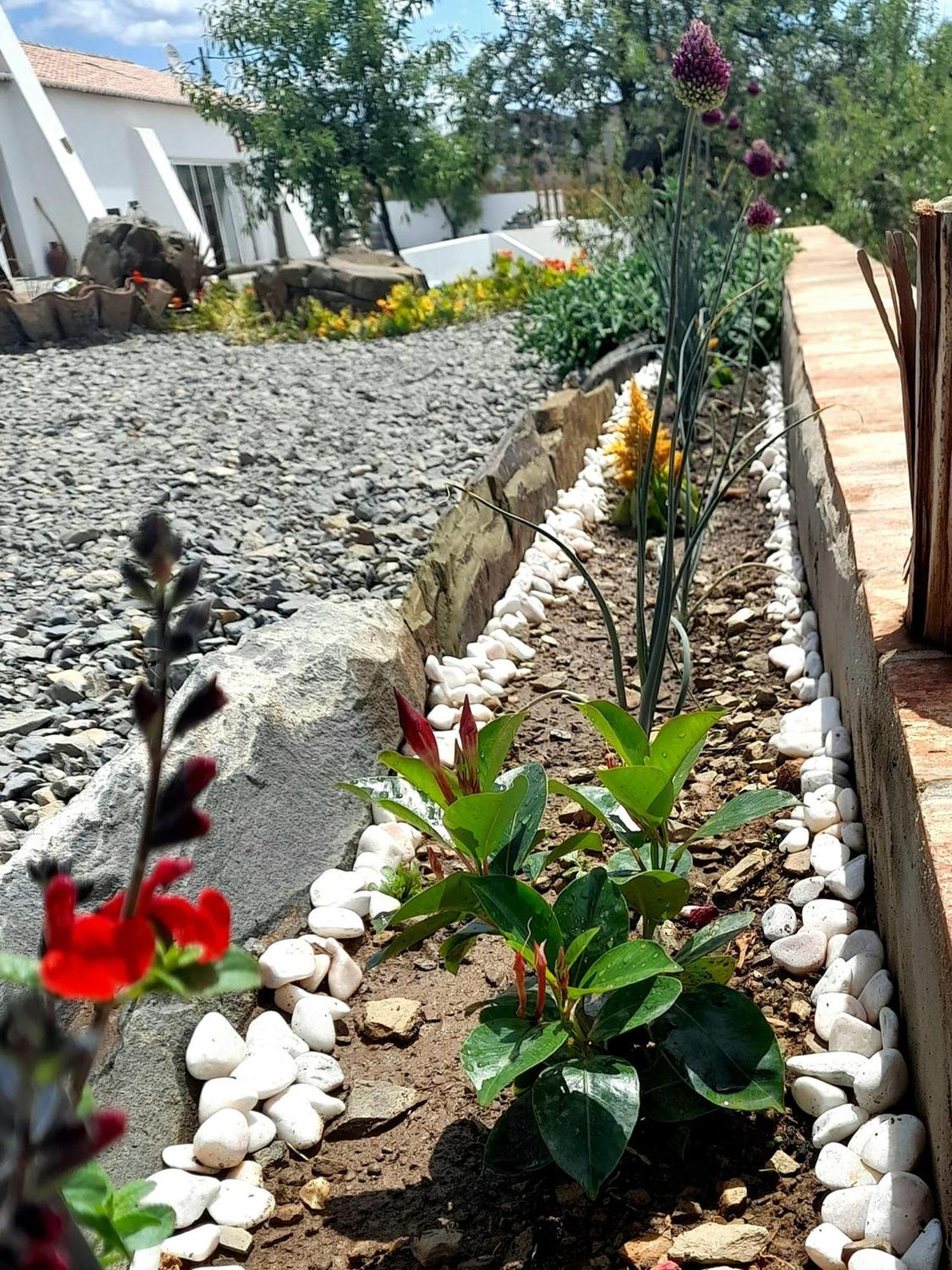 Farm stay Amendoa Alta Mora
