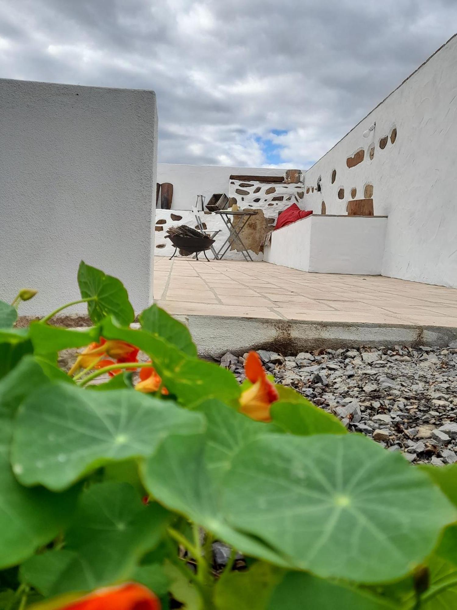 Farm stay Amendoa *