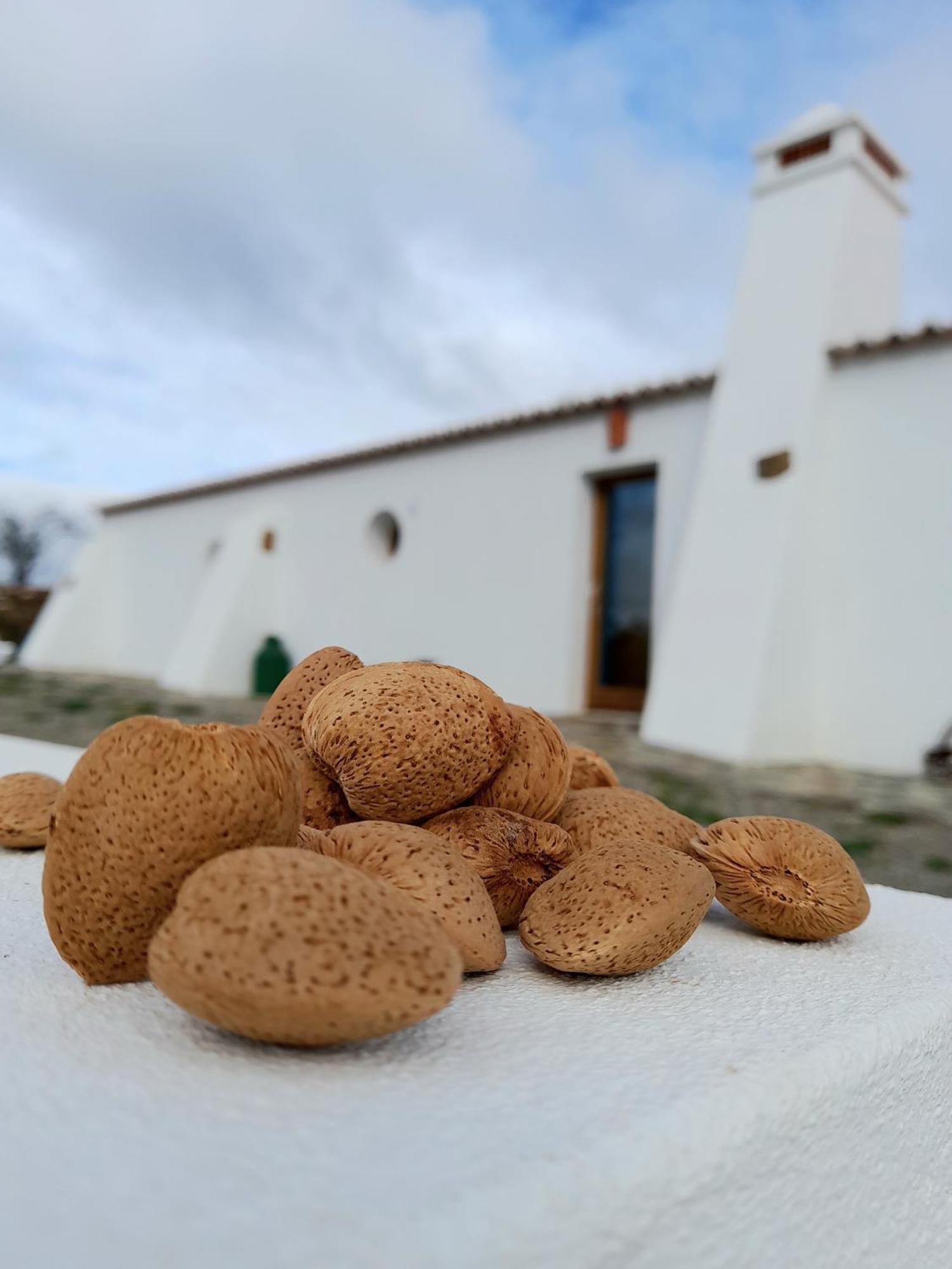 Amendoa Farm stay