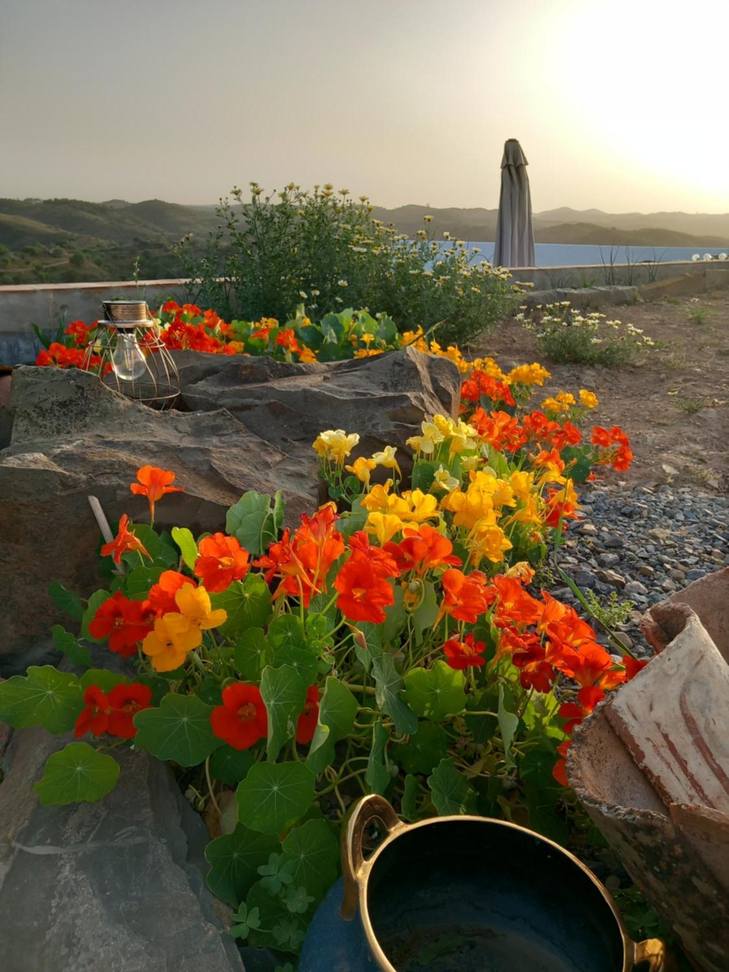 Amendoa Farm stay *